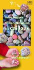 Guide pratique d'identification des cailloux Cover Image