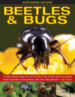 Exploring Nature: Beetles & Bugs: A Captivating Inside View of the Life of Two of the Most Successful Insect Species on the Planet, with Over 200 Pict By Jen Green Cover Image