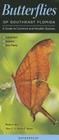 Butterflies of Southeast Florida: A Guide to Common & Notable Species By Mark C. Minno, Maria F. Minno, Marc C. Minno Cover Image