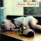 How Many? (Photoflap Board Books) Cover Image