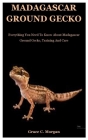Madagascar Ground Gecko: Everything You Need To Know About Madagascar Ground Gecko, Training And Care Cover Image