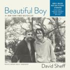 Beautiful Boy: A Father's Journey Through His Son's Meth Addiction By David Sheff, Anthony Heald (Read by) Cover Image