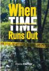 When Time Runs Out: Tara's Quest Vengeance By Diana Carter Cover Image