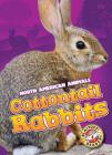 Cottontail Rabbits (North American Animals) By Christina Leighton Cover Image