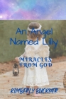 An Angel Named Lilly: Miracles From God By Kimberly Buckner Cover Image