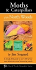 Moths & Caterpillars of the North Woods By Jim Sogaard Cover Image