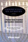 Commentary on Hebrews: Exegetical and Expository - Vol. 2 (8-13) By William Gouge Cover Image