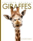 Giraffes (Amazing Animals) By Valerie Bodden Cover Image