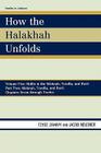 How the Halakhah Unfolds: Hullin in the Mishnah, Tosefta, and Bavli, Part Two: Mishnah, Tosefta, and Bavli (Studies in Judaism #186) By Tzvee Zahavy, Jacob Neusner Cover Image