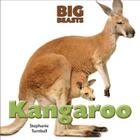 Kangaroo (Big Beasts) By Stephanie Turnbull Cover Image