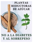 Plantas hipoglucémicas: Plantas Reductoras De Azúcar - No A La Diabetes Y Al Sobrepeso Cover Image