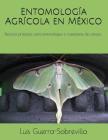 Entomología Agrícola en México: Técnicas prácticas para entomólogos e inspectores de campo By Luis Guerra Sobrevilla Cover Image