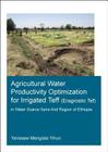 Agricultural Water Productivity Optimization for Irrigated Teff (Eragrostic Tef) in a Water Scarce Semi-Arid Region of Ethiopia Cover Image