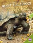 Giant Galàpagos Tortoise (Back from Near Extinction) By Tammy Gagne Cover Image