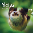 2023 Sloths Mini Calendar By Carousel Calendars (Editor) Cover Image