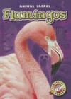 Flamingos (Animal Safari) By Megan Borgert-Spaniol Cover Image