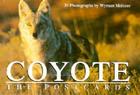 Coyote: The Postcards Cover Image