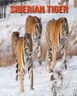 Siberian Tiger: Amazing Facts about Siberian Tiger By Devin Haines Cover Image