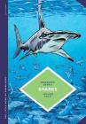The Little Book of Knowledge: Sharks By Bernard Seret, Julien Sole (Illustrator) Cover Image