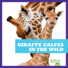 Giraffe Calves in the Wild By Marie Brandle Cover Image