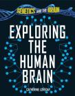 Exploring the Human Brain By Catherine Loveday Cover Image