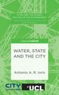 Water, State and the City (Cities and the Global Politics of the Environment) By A. Ioris Cover Image