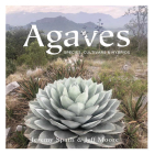 Agaves:: Species, Cultivars & Hybrids By Jeff Moore Cover Image