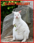 Albino-Wallaby: Erstaunliche Fakten über Albino-Wallaby By Matilde Sopher Cover Image