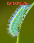 Caterpillar: Beautiful Pictures & Interesting Facts Children Book About Caterpillar Cover Image