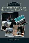 Lost Steel Plants of the Monongahela River Valley Cover Image