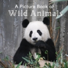 A Picture Book of Wild Animals: A Beautiful Picture Book for Seniors With Alzheimer's or Dementia. A Great Gift for Elderly Parents and Grandparents! Cover Image