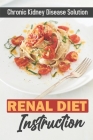 Renal Diet Instruction: Chronic Kidney Disease Solution: Starter'S Cookbook By Ethan Wider Cover Image