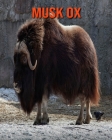 Musk Ox: Amazing Facts about Musk Ox By Devin Haines Cover Image