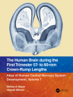 The Human Brain During the First Trimester 57- To 60-MM Crown-Rump Lengths: Atlas of Human Central Nervous System Development, Volume 7 By Shirley A. Bayer, Joseph Altman Cover Image