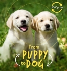 Lifecycles - Pup To Dog (Lerner) (Life Cycles) By Camilla de la Bedoyere Cover Image