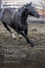 Horse Medicine By Doug Anderson Cover Image