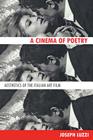 A Cinema of Poetry: Aesthetics of the Italian Art Film By Joseph Luzzi Cover Image