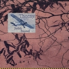 Thorny By Judith Baumel Cover Image