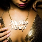 Hip Hop Honeys By Brian Finke Cover Image