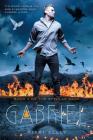 Gabriel: Book 2 of the Styclar Saga By Nikki Kelly Cover Image