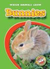 Bunnies (Watch Animals Grow) By Colleen Sexton Cover Image