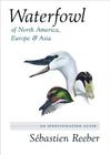 Waterfowl of North America, Europe, and Asia: An Identification Guide By Sébastien Reeber Cover Image