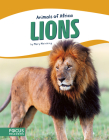 Lions By Mary Meinking Cover Image