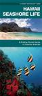 Hawaii Seashore Life: A Folding Pocket Guide to Familiar Plants and Animals (Pocket Naturalist Guide) Cover Image