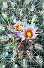 Dialogue of a Foster/Adopted Child By Patricia A. Corbitt Cover Image