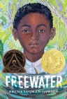 Freewater (Newbery & Coretta Scott King Award Winner) By Amina Luqman-Dawson Cover Image