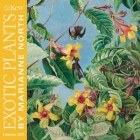 Kew Gardens: Marianne North Wall Calendar 2023 (Art Calendar) By Flame Tree Studio (Created by) Cover Image