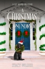 A Christmas Conundrum By Stacy Wilder Cover Image