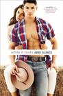 While It Lasts (Sea Breeze) By Abbi Glines Cover Image
