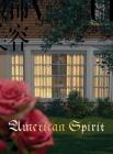 Roe Ethridge: American Spirit Cover Image